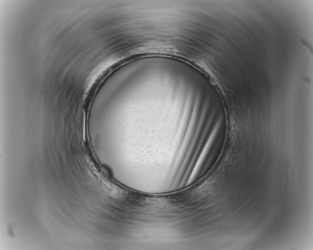 X0000099561123200805301536