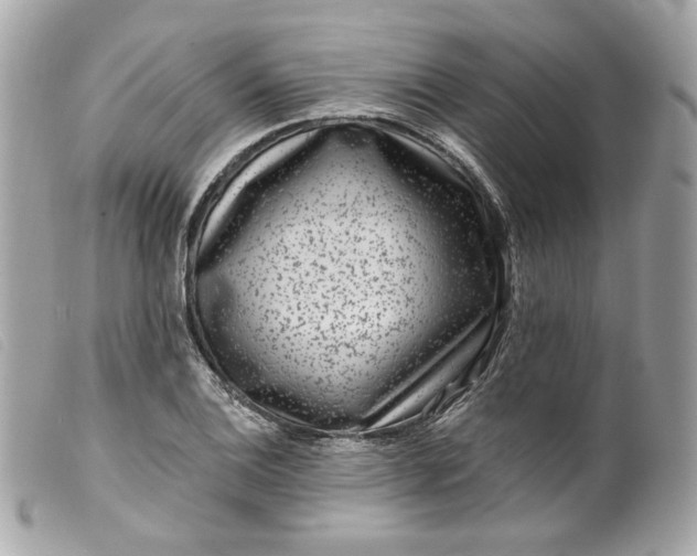 X0000099561124200805301536