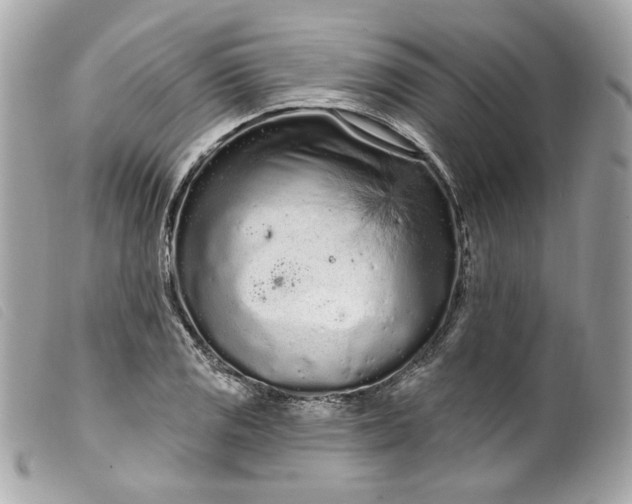 X0000099561125200805301536