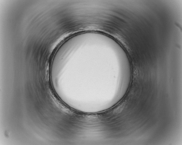 X0000099561126200805301536