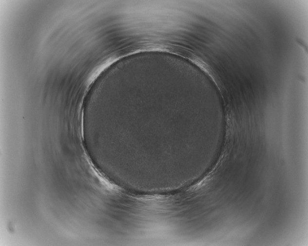 X0000099561127200805301536