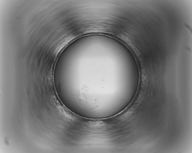 X0000099561129200805301536