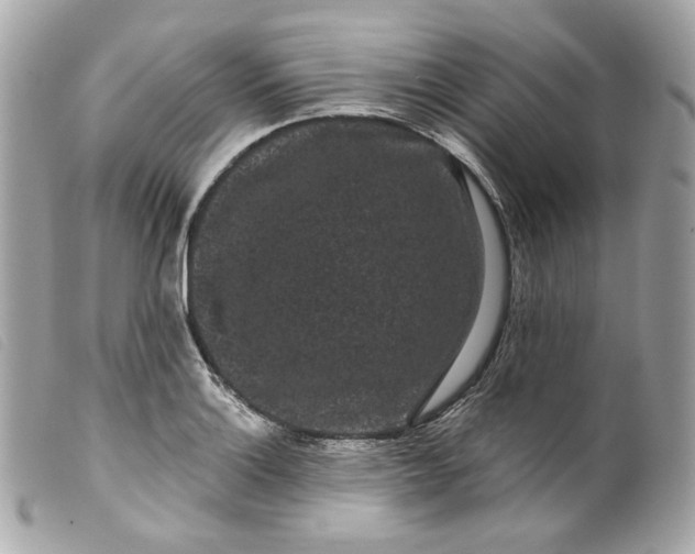 X0000099561132200805301536