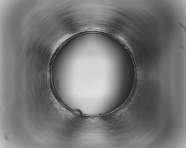 X0000099561133200805301536