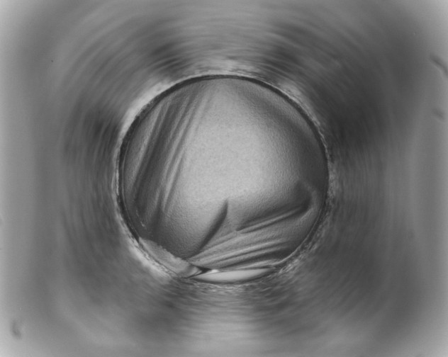 X0000099561136200805301536