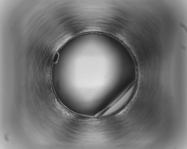 X0000099561137200805301536