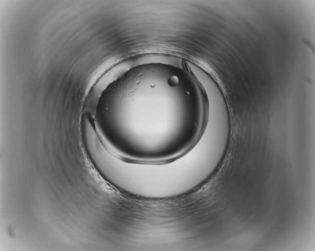 X0000099561138200805301536