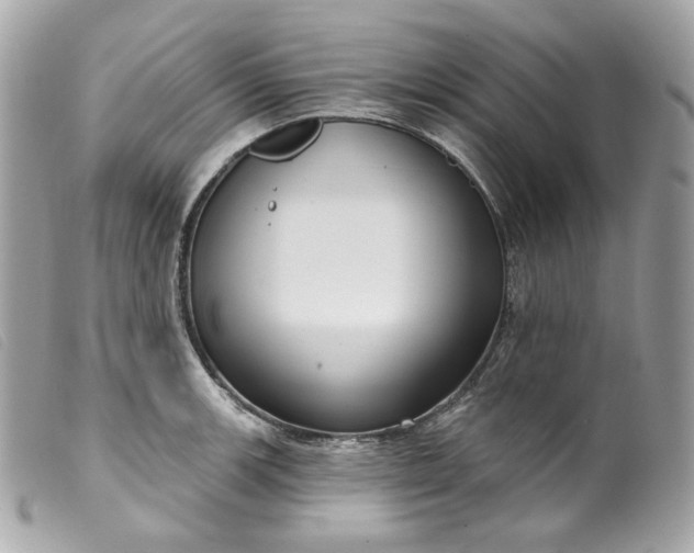 X0000099561139200805301536