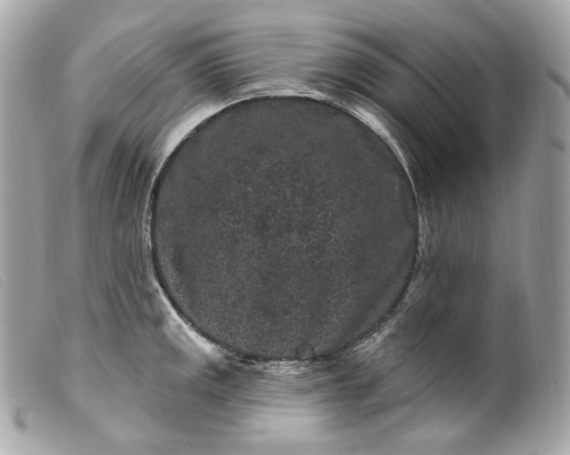 X0000099561141200805301536