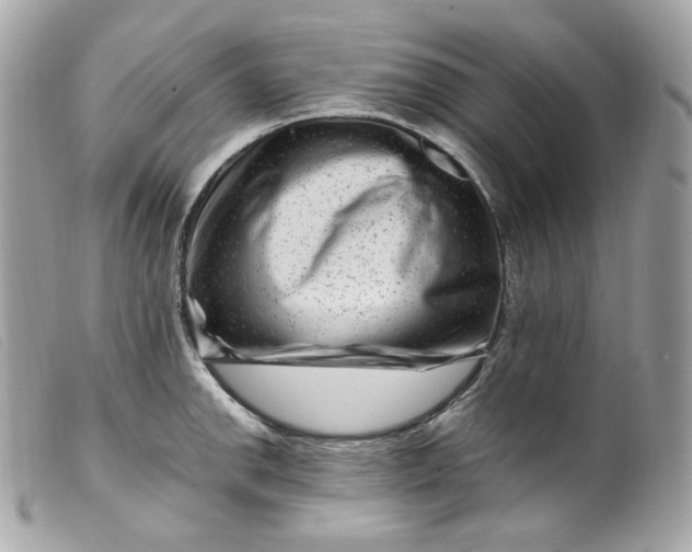 X0000099561142200805301536