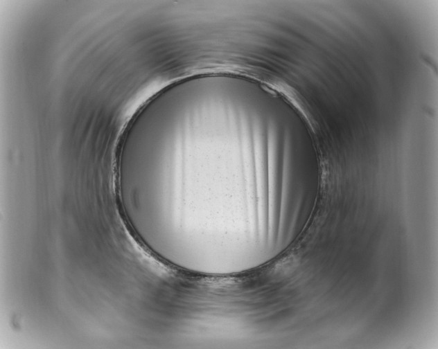 X0000099561143200805301536