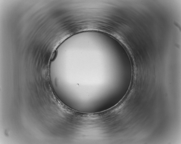 X0000099561145200805301536