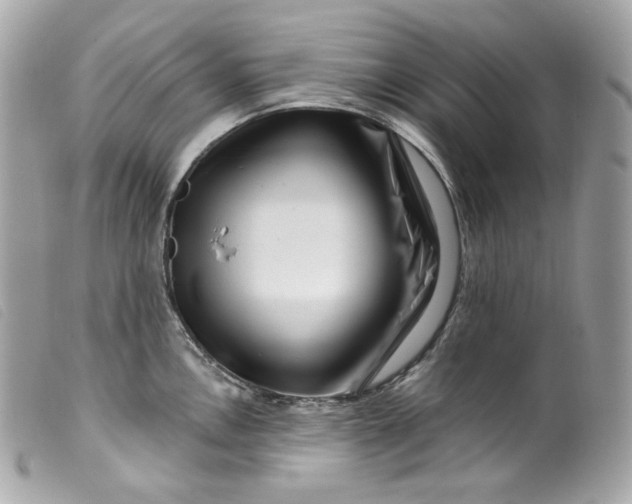 X0000099561146200805301536