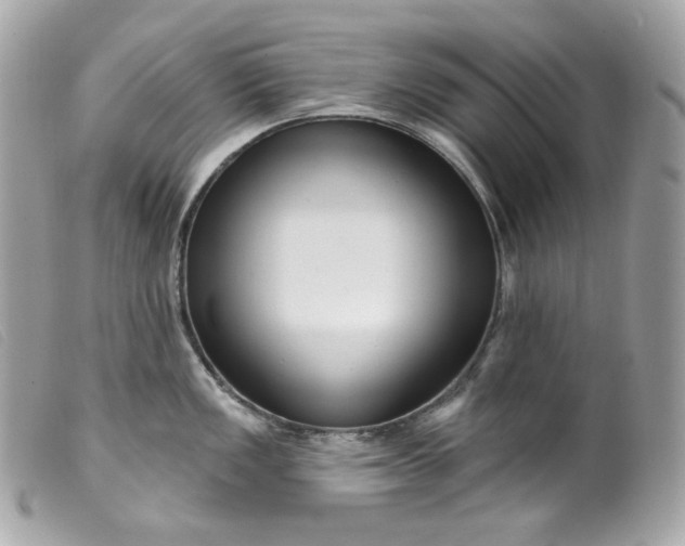 X0000099561149200805301536