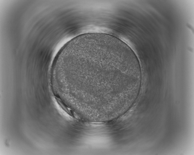 X0000099561152200805301536