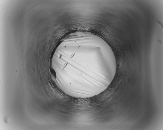 X0000099561153200805301535