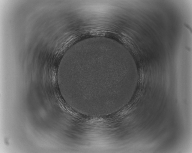 X0000099561154200805301535