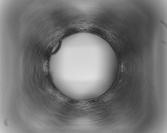 X0000099561156200805301535