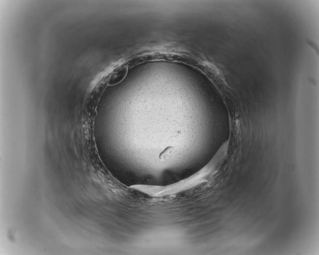 X0000099561159200805301535