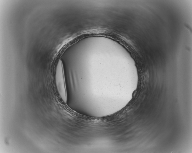 X0000099561160200805301535