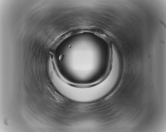 X0000099561161200805301535