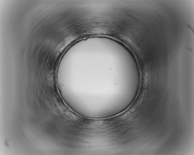 X0000099561162200805301535