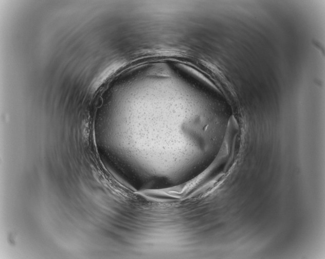 X0000099561163200805301535