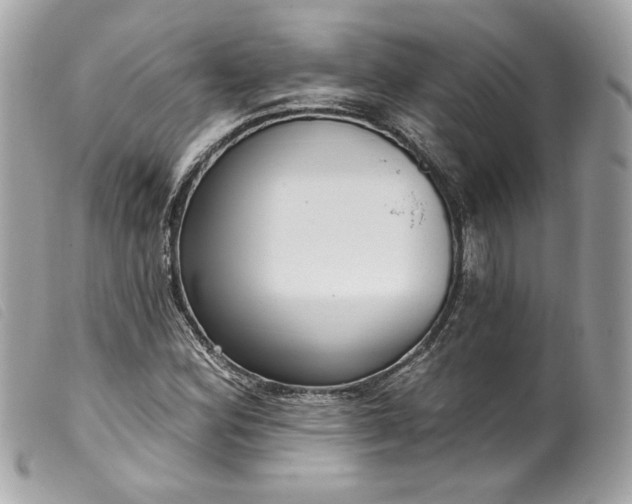 X0000099561164200805301535