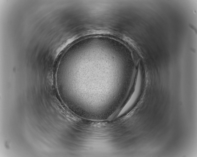 X0000099561165200805301535