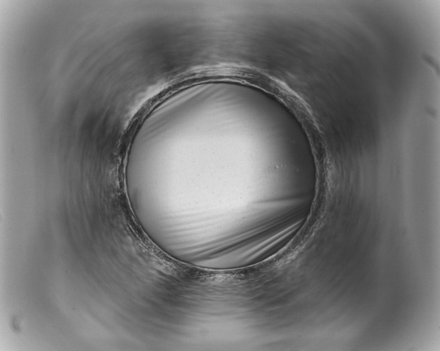 X0000099561166200805301535