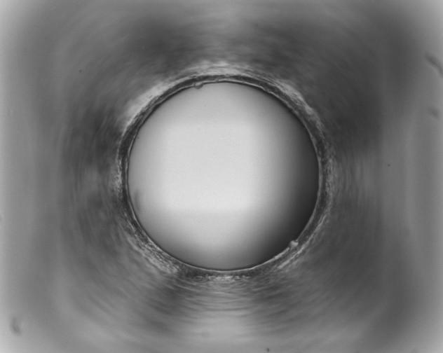 X0000099561167200805301535