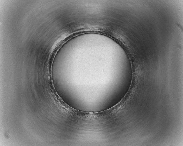 X0000099561172200805301535