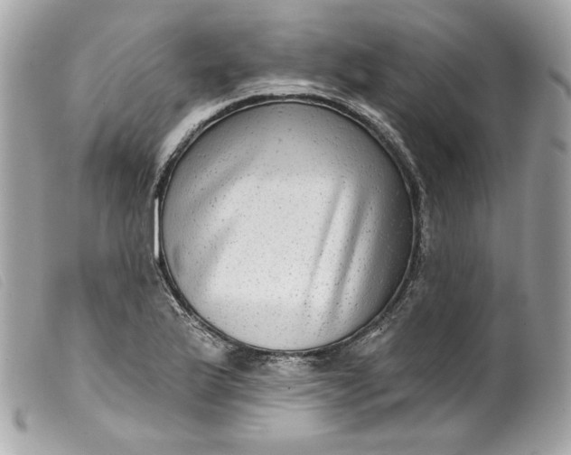 X0000099561175200805301535