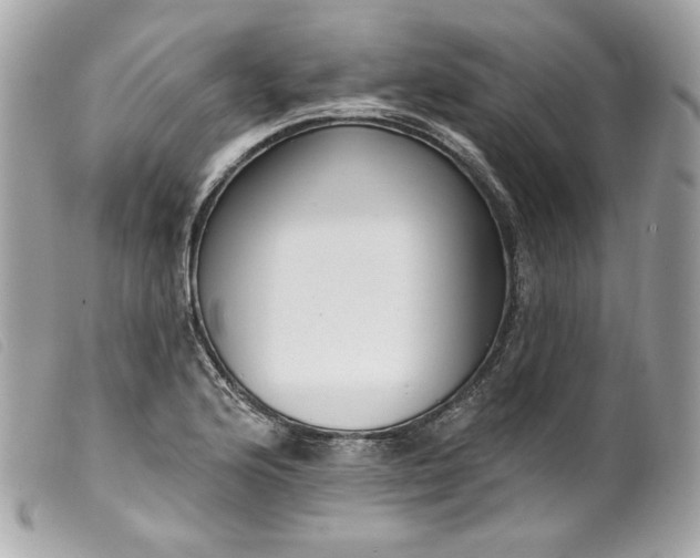 X0000099561176200805301535