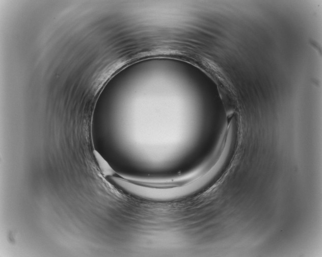 X0000099561177200805301535