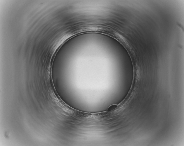 X0000099561178200805301535