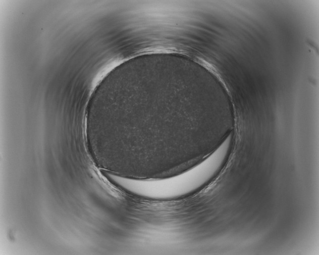 X0000099561179200805301535