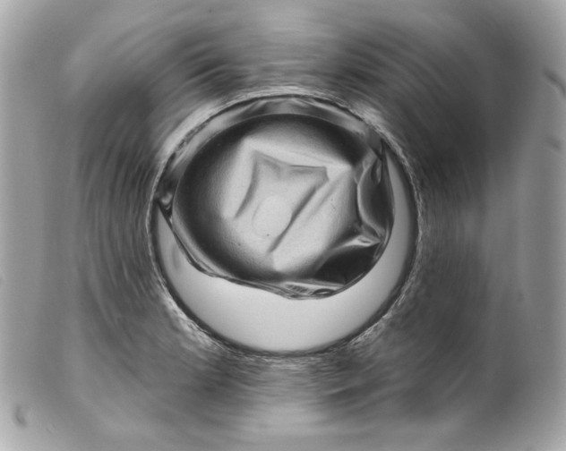 X0000099561181200805301535