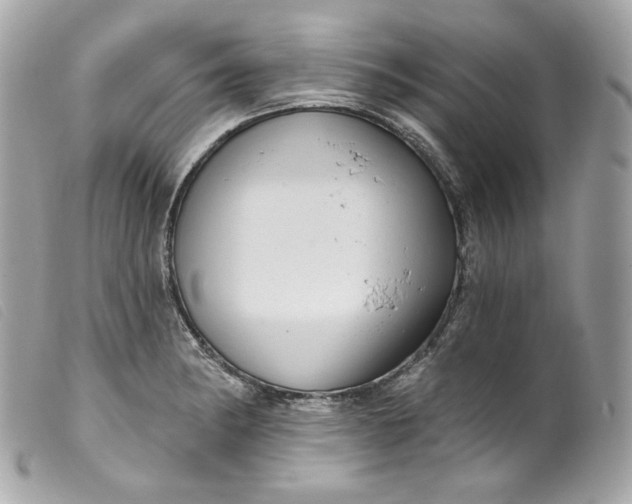 X0000099561182200805301535