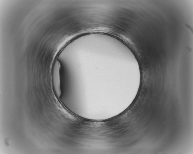 X0000099561184200805301535