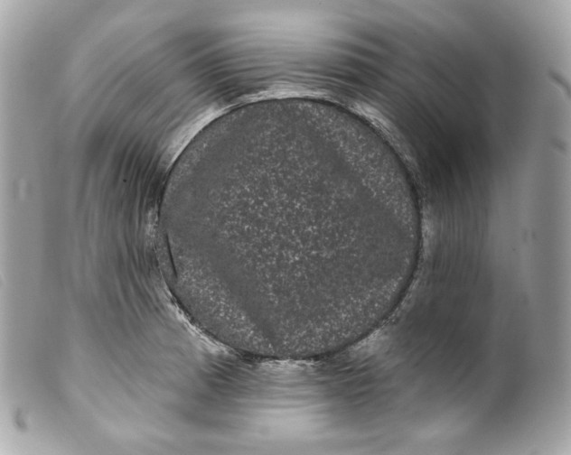 X0000099561185200805301535