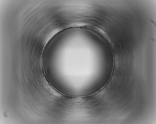 X0000099561186200805301535