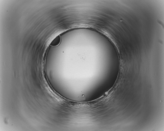 X0000099561187200805301535