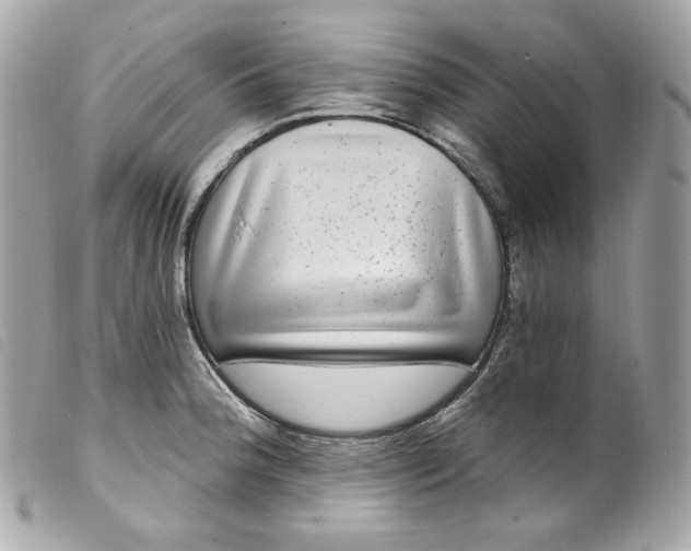 X0000099561188200805301535