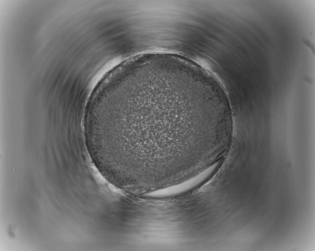 X0000099561189200805301535