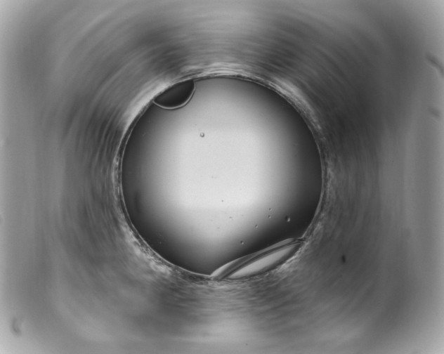 X0000099561190200805301535