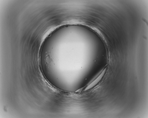 X0000099561191200805301535