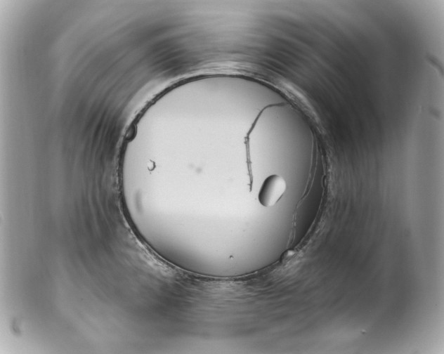 X0000099561192200805301535