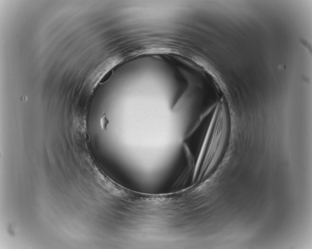 X0000099561193200805301535