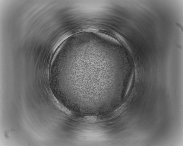 X0000099561194200805301535